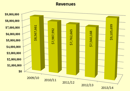 yir1314-revenues.png